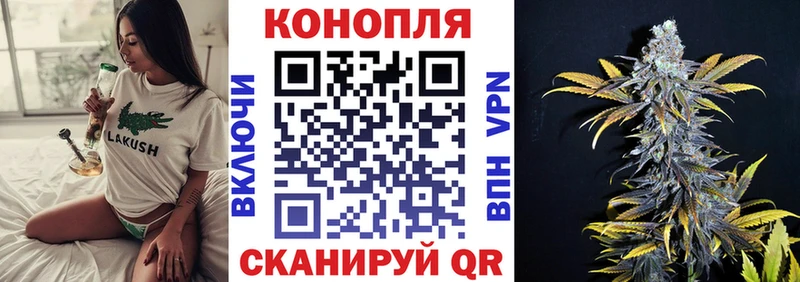 Шишки марихуана ГИДРОПОН  где продают наркотики  Апшеронск 